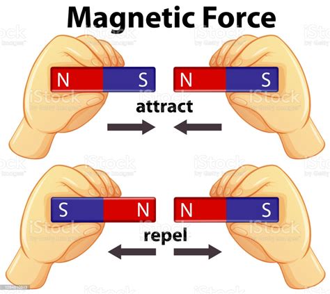 Diagram Showing Magnetic Force With Attract And Repel Stock ...