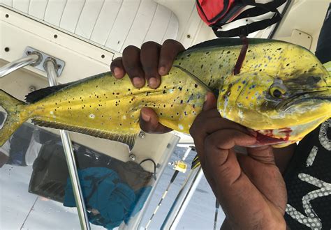 Check spelling or type a new query. Terkeren 11+ Gambar Warna Laut - Gani Gambar