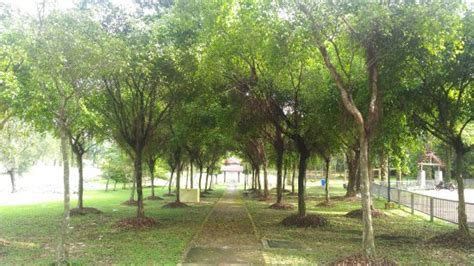 Petaling jaya, selangor jobs now available in cheras. Ara Damansara Park (Petaling Jaya) - 2021 All You Need to ...