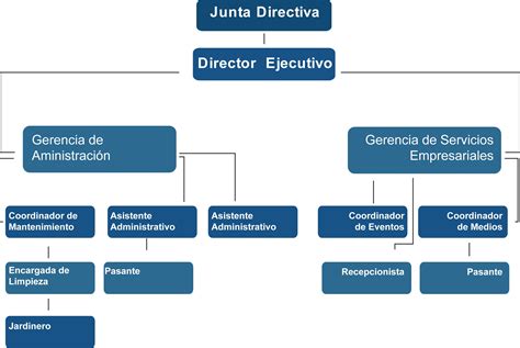 ORGANIGRAMA DE LA EMPRESA Compraventadevehiculos