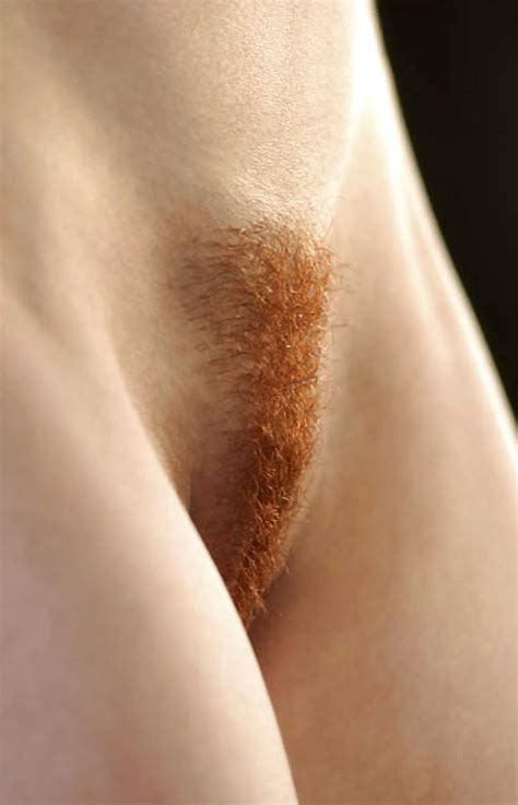 Gorgeous Nudes Hairy Redheads 56 Pics