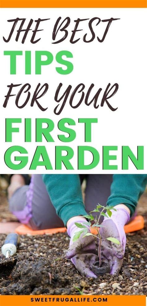 Vegetable Garden For Beginners Starting A Vegetable Garden Gardening