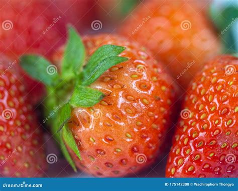 Strawberry Close Up Strawberries Background Stock Photo Image Of