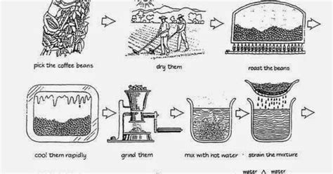 English Studio Pare The Diagram Below Shows How Coffee Is Produced And