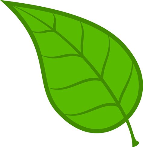 Leaves Leaf Free Download Clip Art On Clipart Library Green Leaves