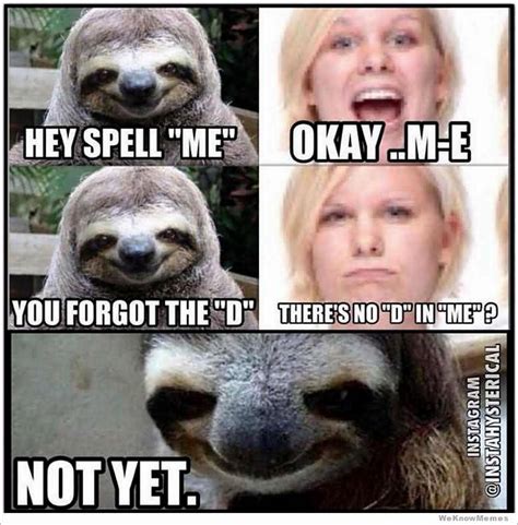 33 Sloth Wisper Meme Funny Images And Pictures Quotesbae