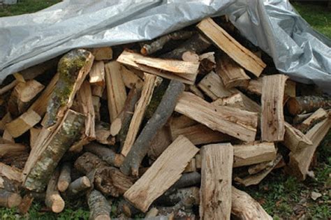 Every spring i build a round wood pile to store and dry the logs i have collected over the previous autumn and winter. storing fire wood | Swept Away Chimney Sweep