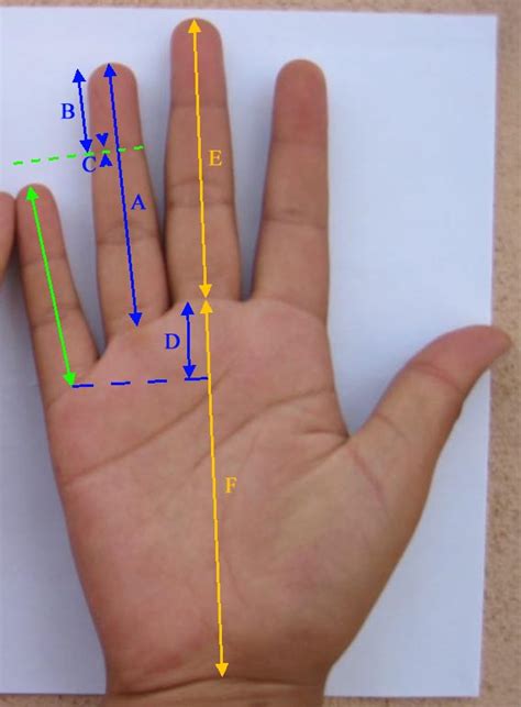 In this regard, how many fingers make an inch? How long is your pinky finger... really?
