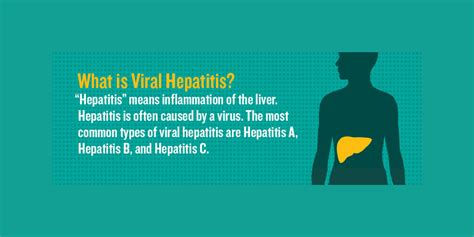 9 Frequently Asked Questions About Hepatitis A And B Nfid