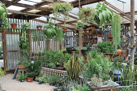 They are a trend that is taking over not just gardens, but wedding and home decor as well. Rock-Oak-Deer: Support Your Independent Nursery Month ...