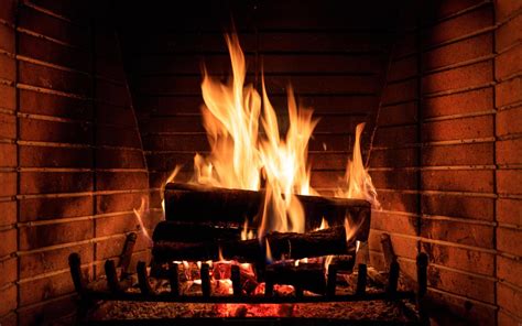 Animated Fireplace Zoom Background Ana Candelaioull