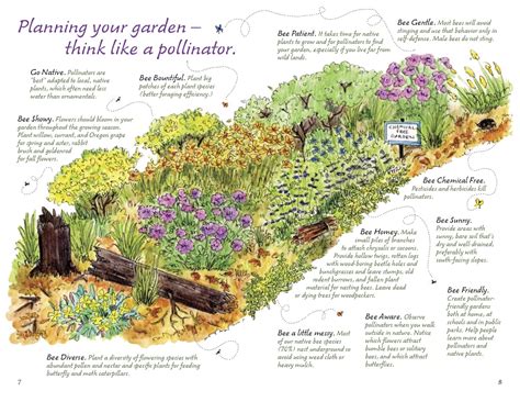 Start Your Garden — Nyack Pollinator Pathway