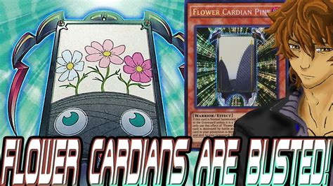 Free To Play Flower Cardians Are Busted Yugioh Duel Links Youtube
