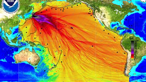 Allen L Rolands Weblog Fukushima Deadly Update Silence Remains Supreme