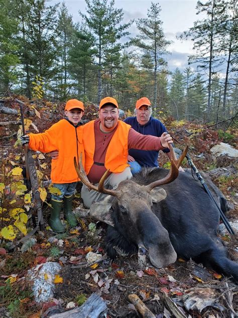 Moose Hunting Maine Guided Moose Hunts Maine