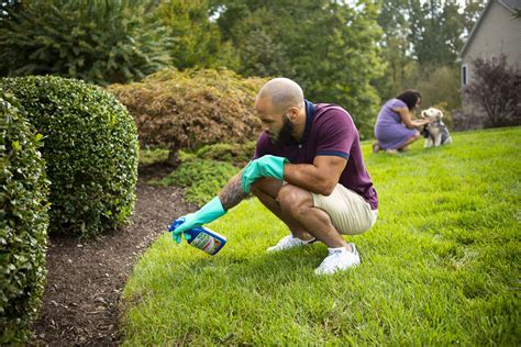 All Information About Diy Lawn Care The Ultimate Guide