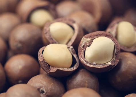 Macadamia Nuts The Healthiest Nuts For A Ketogenic Diet Keto