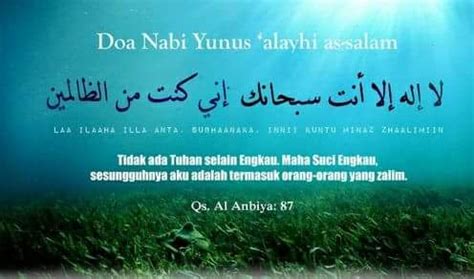 Kisah Nabi Yunus Dan Ikan Paus - YunFila.Com
