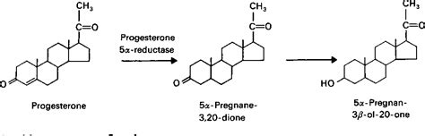 figure 1 from characterization and localization of progesterone 5 alpha reductase from cell