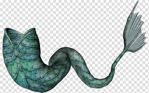 Green Mer Tails Blue Mermaid Tail Transparent Background Png Clipart