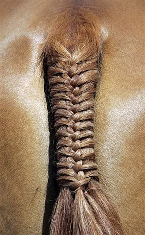 Real horse hair, southwestern style, hand braided vaquero quality. 30 Amazing Horse Tail Braids Ideas to make Your Friends ...