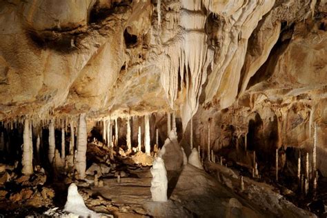 Wichtige infos und tipps für die reise nach tschechien: Höhlenverwaltung der Tschechischen Republik, Průhonice ...