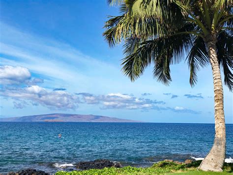 This is what a Maui Monday... - Maui Accommodations Guide