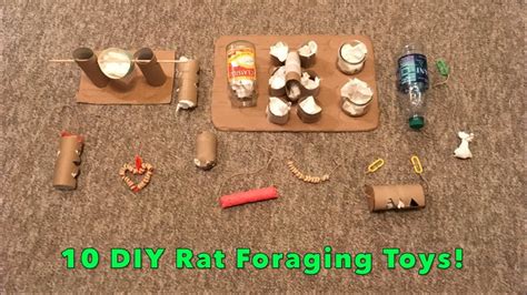 Rats are incredibly intelligent creatures that need some mental stimulation in order to be healthy and there are loads of small rodent toys and cage decorations available in stores and online, but by no. 10 DIY Rat Foraging Toys! - YouTube