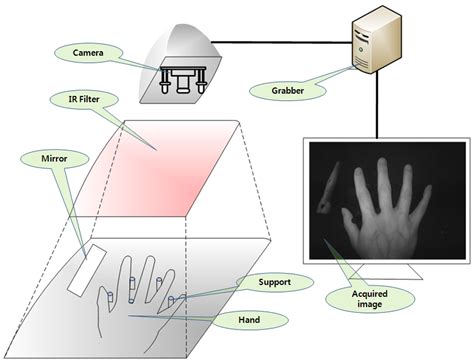 Sensors Free Full Text Hand Biometric Recognition Based On Fused