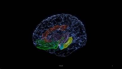 Cortex Brain Stimulation Deep Depression Orbitofrontal Amygdala