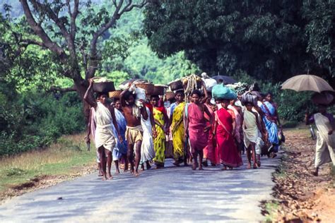 Protecting Adivasi In India World Tribal Day 2023 History Theme