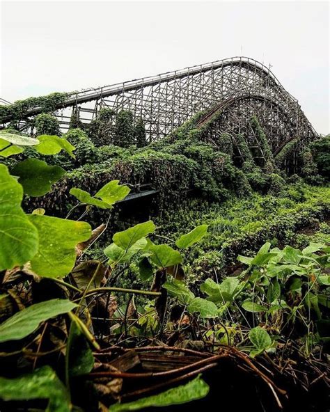 Abandoned Roller Coaster Being Taken Over By Nature 640×800 Abandonedporn