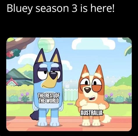 Pin By Linzi Howard On Doggos In 2023 Bluey Meme Kids Shows Funny