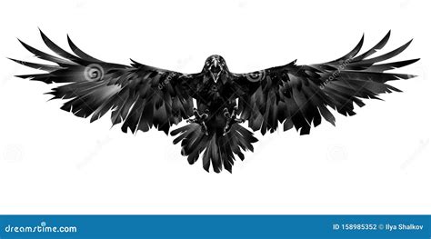 Raven Flying Black Raven On White Background Cartoon Vector