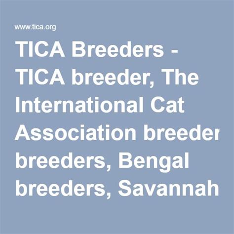 Breeder Listing Savannah Kitten Savannah Cat Breeders Cat Breeder