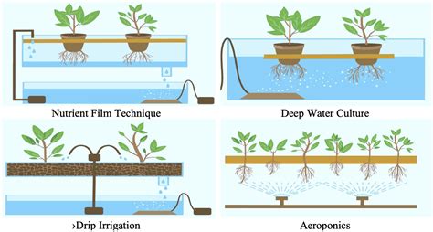 Understanding Hydroponics Electronics For You