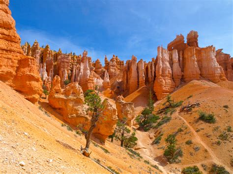 Bryce Canyon And Zion National Park Tours Usa Today