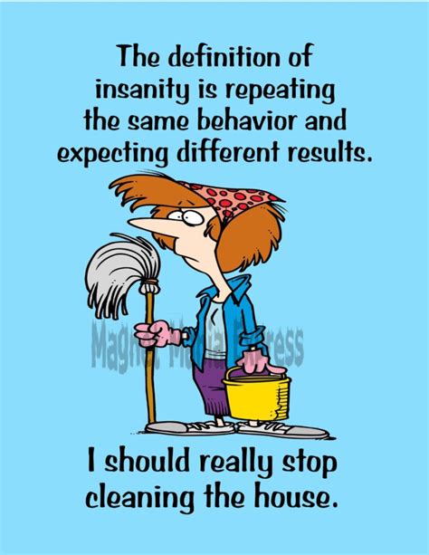 Metal Refrigerator Magnet Insanity Same Behavior Stop Cleaning House