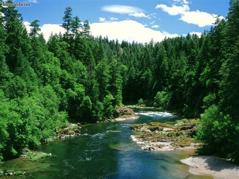 Nature Umpqua River Douglas County Oregon Picture Nr 17861