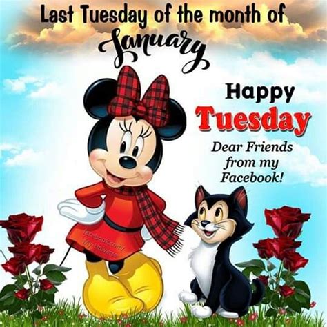 Pin By Brenda Guffey On Funny Things Mickey Mouse Happy Tuesday Mickey