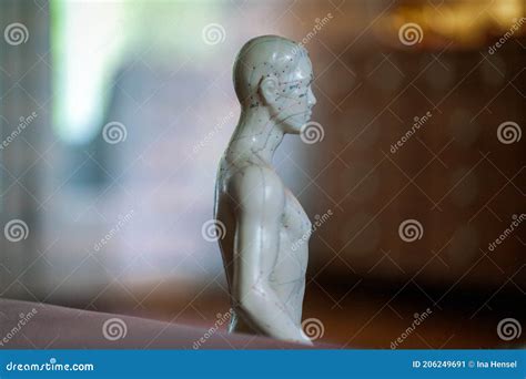 Close Up Of A Male Acupuncture Doll Stock Image Image Of Close Dots