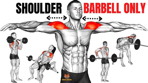 14 Best Shoulder Workout With Barbell Only At Home Or At Gym