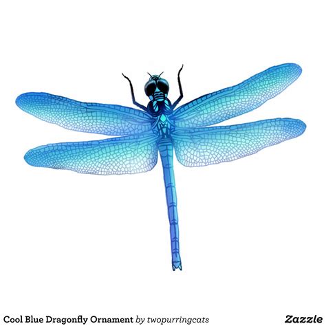 Cool Blue Dragonfly Ornament Zazzle Libellule Illustration