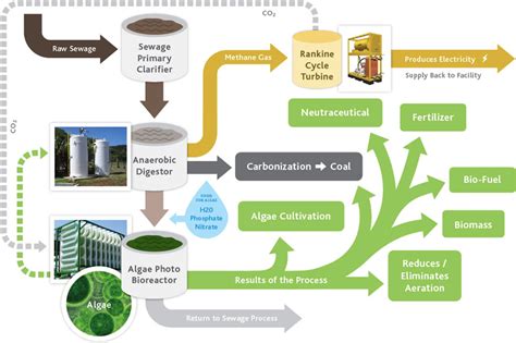 Algae Biofuel Future Algae Biofuel Technology