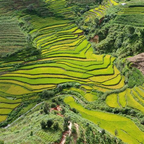 Terraced Fields Sculpted By Hani People In Sw China Cgtn