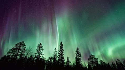 Northern Lights Visible Tonight From Us Where And When To Watch