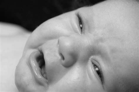 Baby Crying Black And White Stock Photo Image Of Baby Parenting 72110