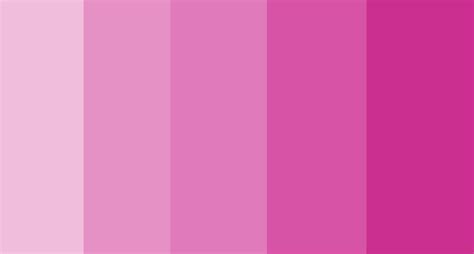 Degrade De Color Rosa Fuerte Color Palette Pink Color Swatch Pink Color Schemes Colour Palettes