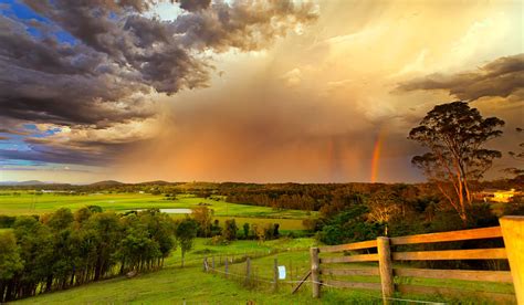 Tall Timbers Australia Rodney Trenchard Landscape Photography