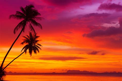 A collection of the top 51 beach sunset desktop wallpapers and backgrounds available for download for free. Tropical Sunset Free Wallpaper download - Download Free ...